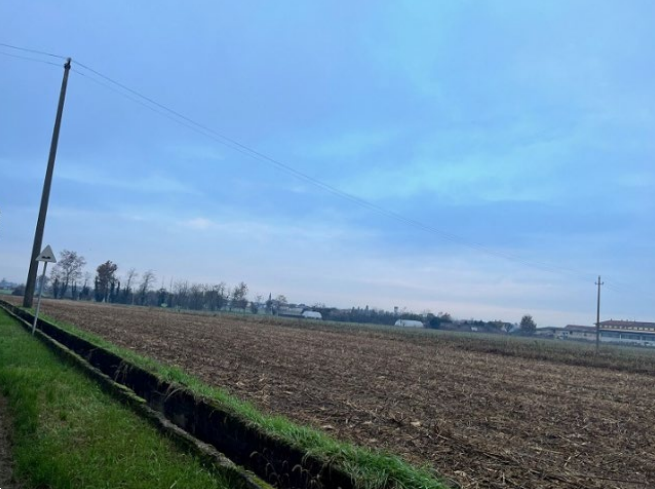 immagine annuncio 5 di 13