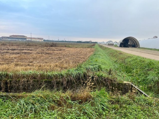 immagine annuncio 6 di 13