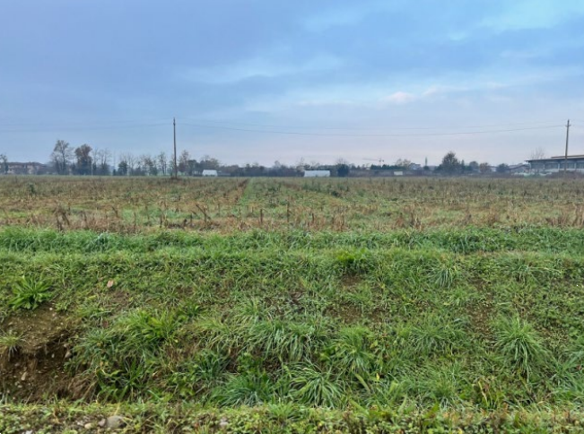 immagine annuncio 8 di 13