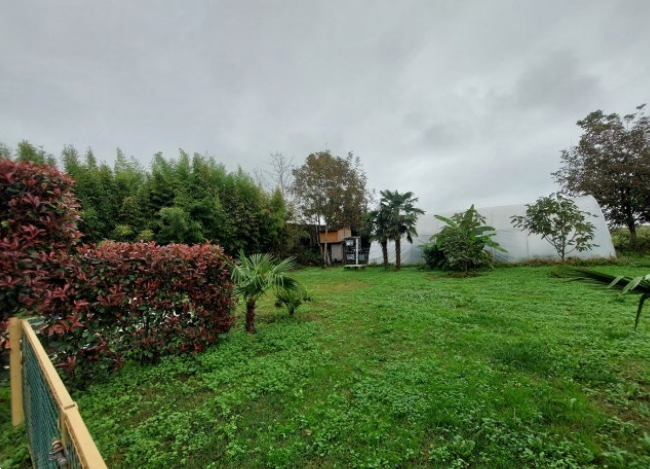 immagine annuncio 9 di 13