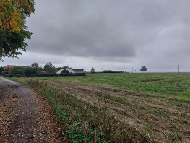 immagine annuncio 10 di 13