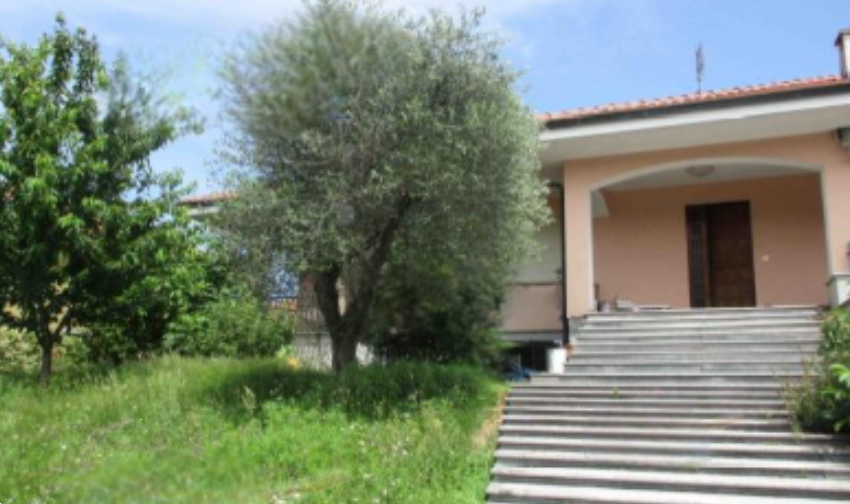 immagine annuncio 3 di 13