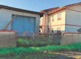 immagine annuncio 8 di 13