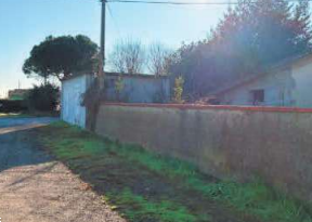 immagine annuncio 9 di 13