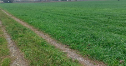 immagine annuncio 3 di 14