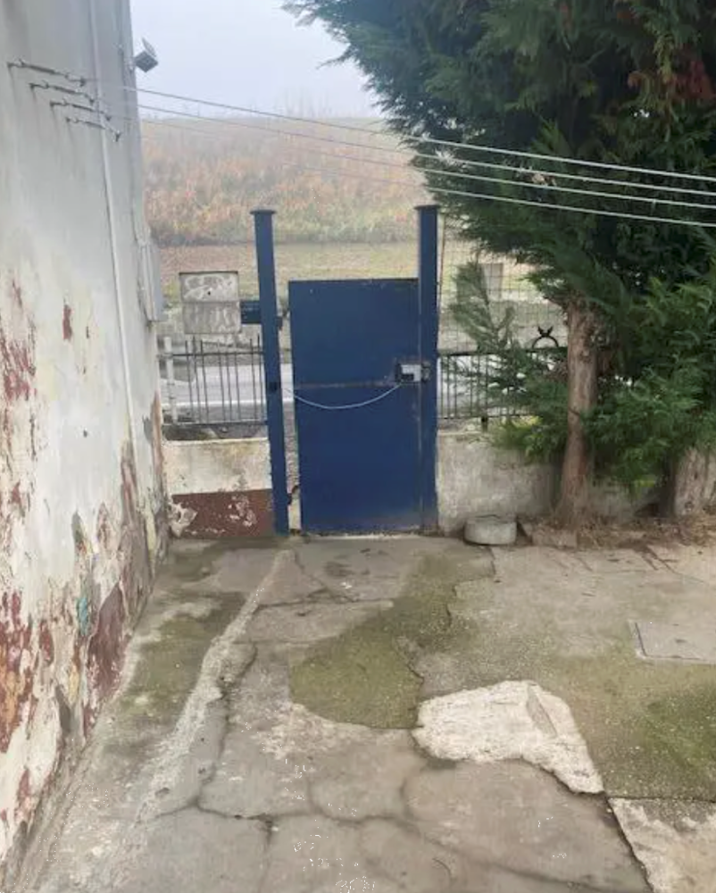 immagine annuncio 3 di 13