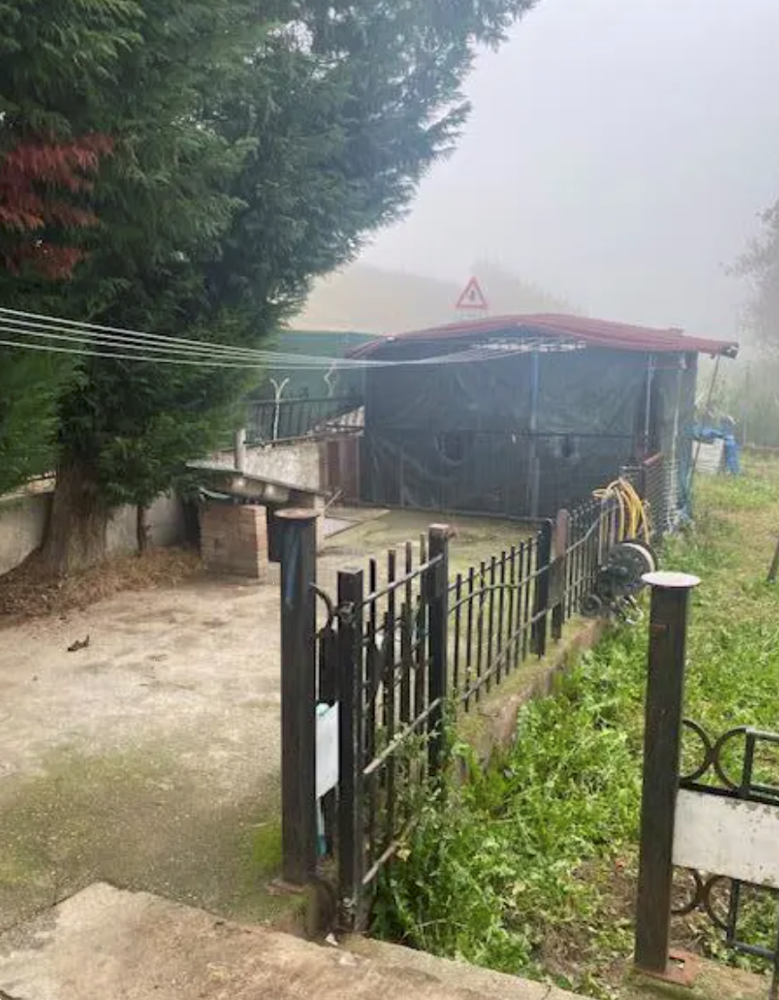 immagine annuncio 4 di 13
