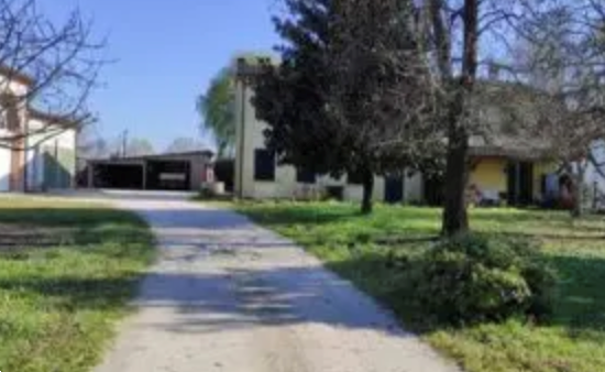 immagine annuncio 2 di 13