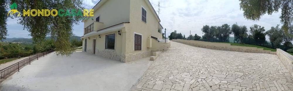 immagine annuncio 3 di 13