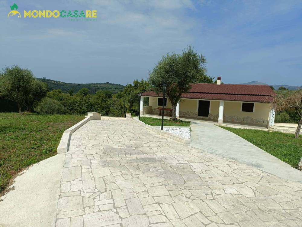 immagine annuncio 10 di 13