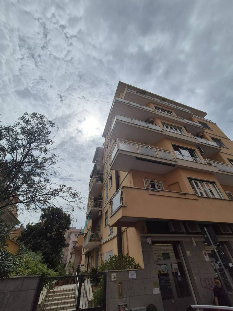 immagine annuncio 5 di 6