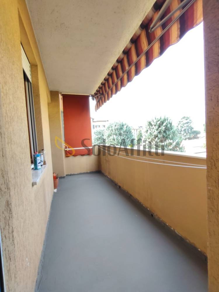 immagine annuncio 6 di 13