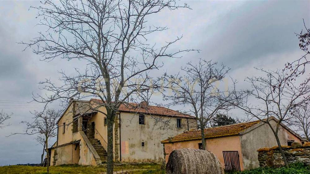 immagine annuncio 3 di 13