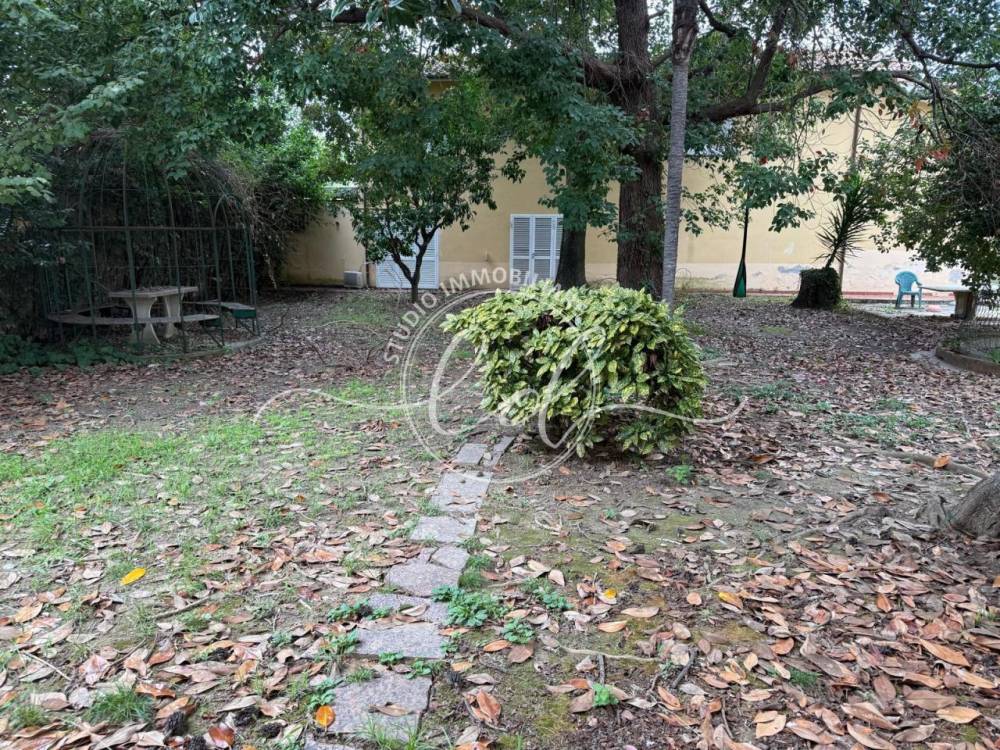 immagine annuncio 6 di 13