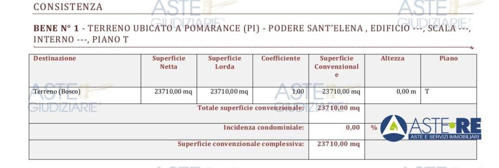 immagine annuncio 6 di 9