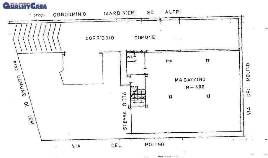 immagine annuncio 7 di 8