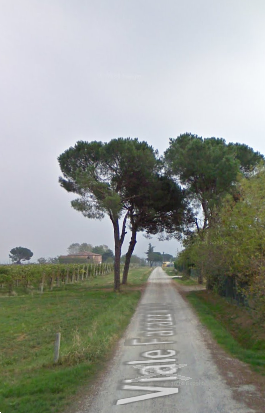 immagine annuncio 9 di 13