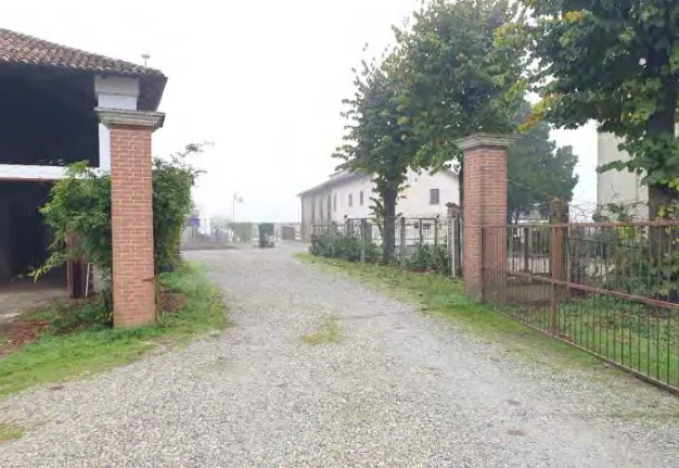 immagine annuncio 3 di 13