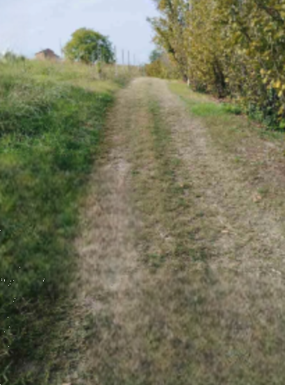 immagine annuncio 3 di 13