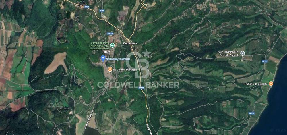 immagine annuncio 12 di 13