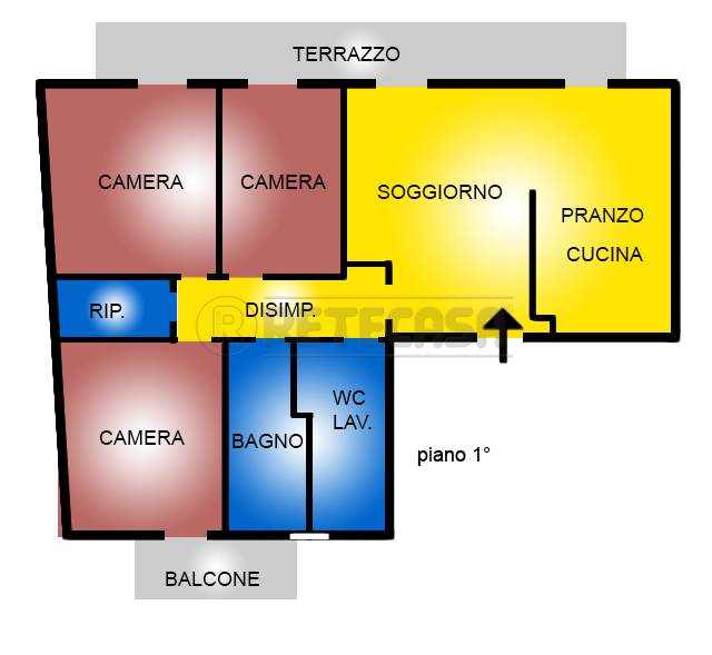 immagine annuncio 1 di 13
