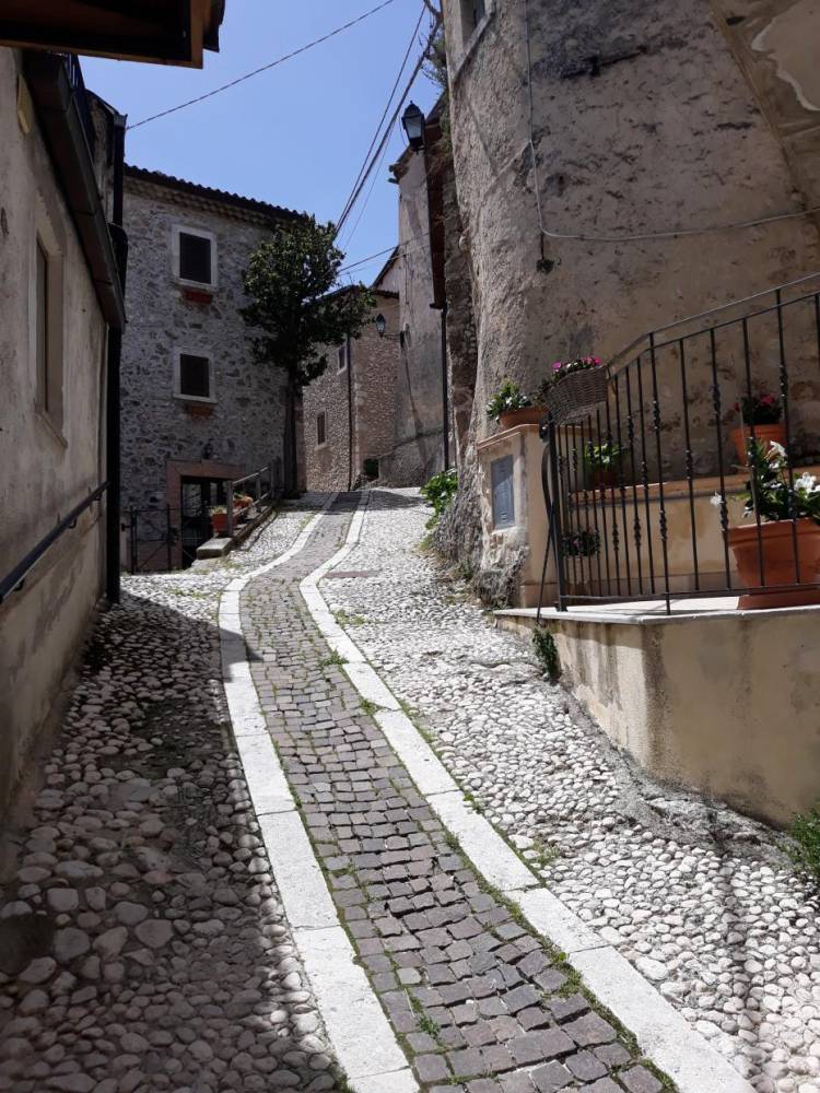 immagine annuncio 5 di 9