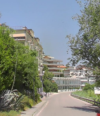 immagine annuncio 12 di 13