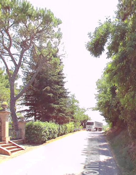 immagine annuncio 9 di 13