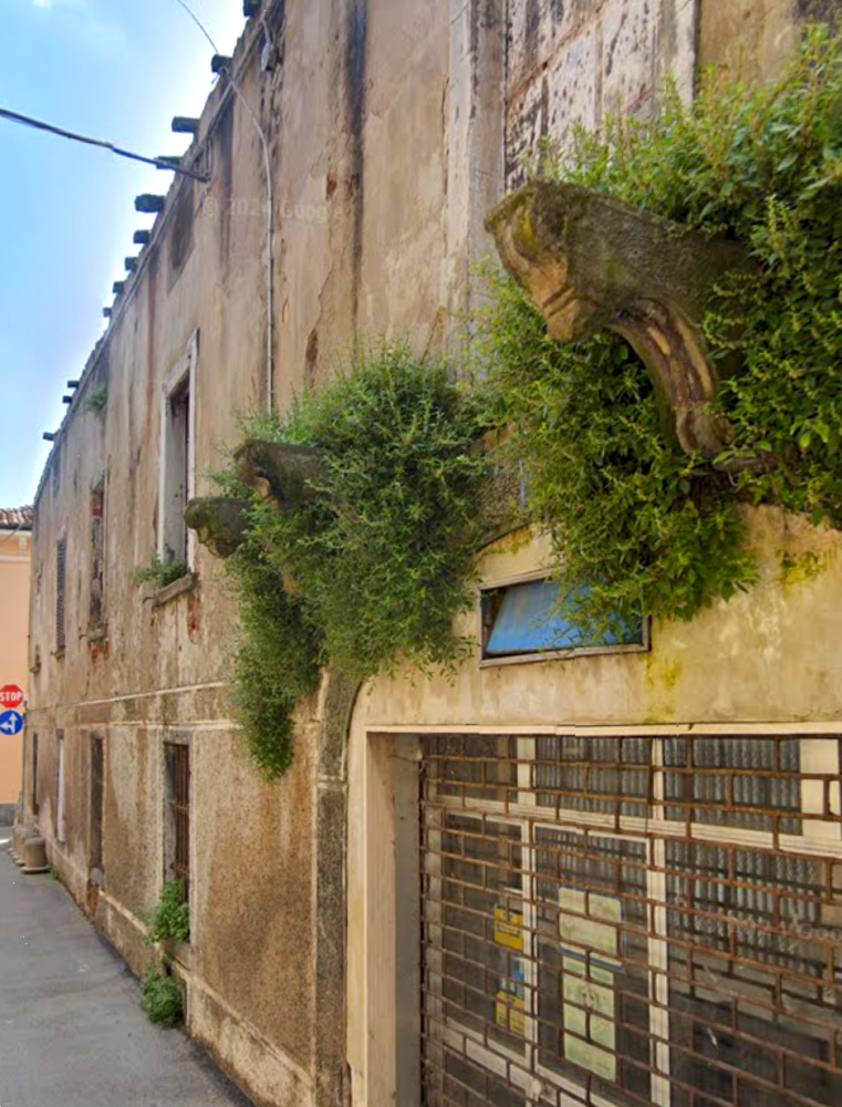 immagine annuncio 5 di 13