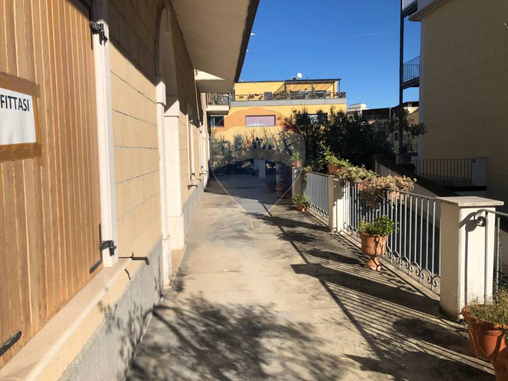 immagine annuncio 4 di 7