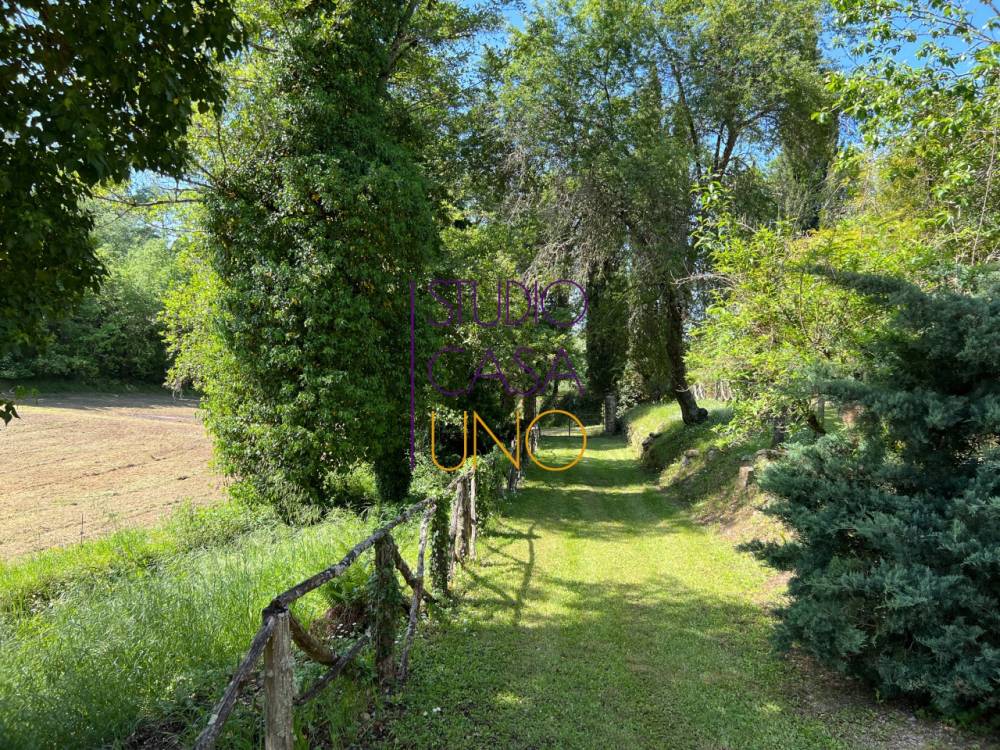 immagine annuncio 7 di 13