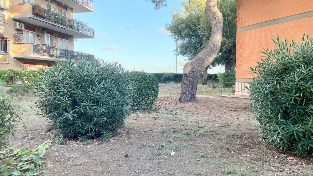 immagine annuncio 4 di 13