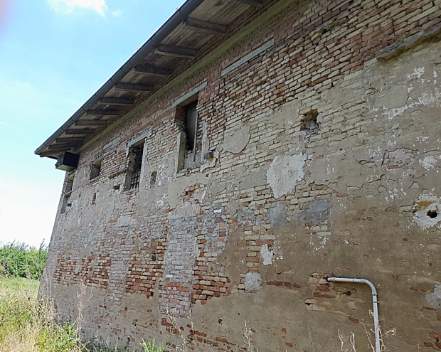 immagine annuncio 4 di 13