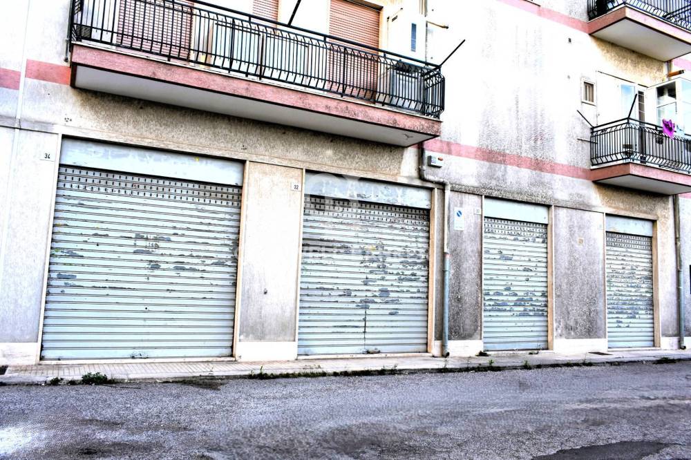 immagine annuncio 8 di 12