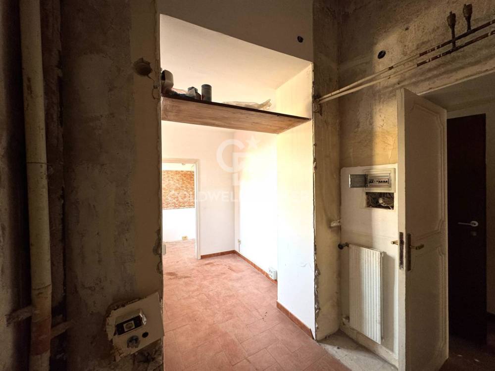 immagine annuncio 8 di 13