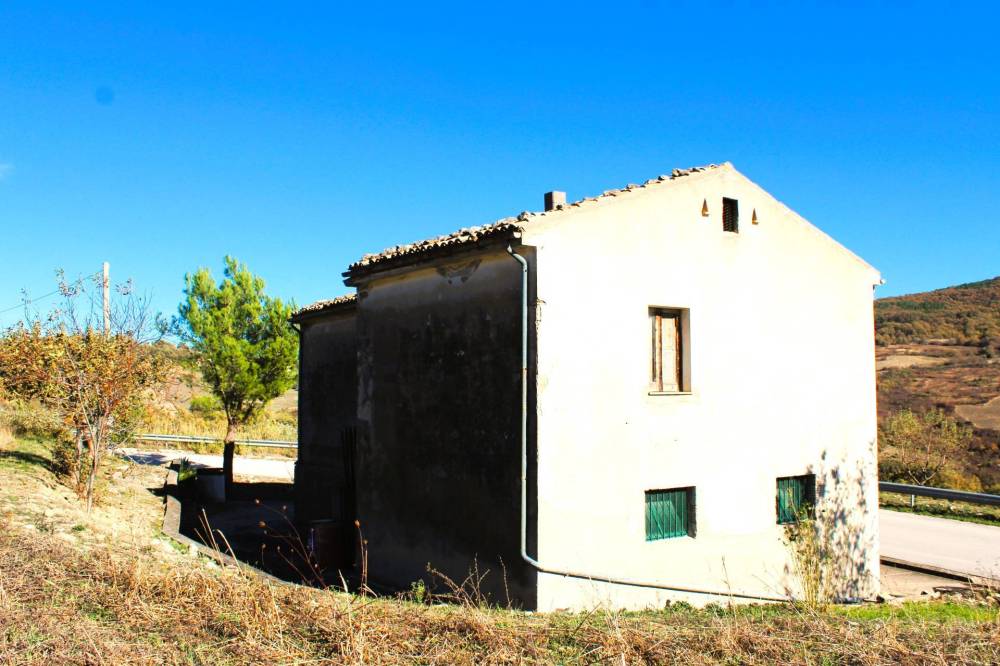 immagine annuncio 10 di 13