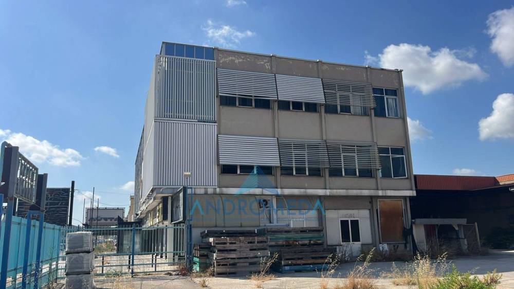 immagine annuncio 1 di 13