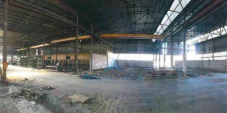 immagine annuncio 4 di 13