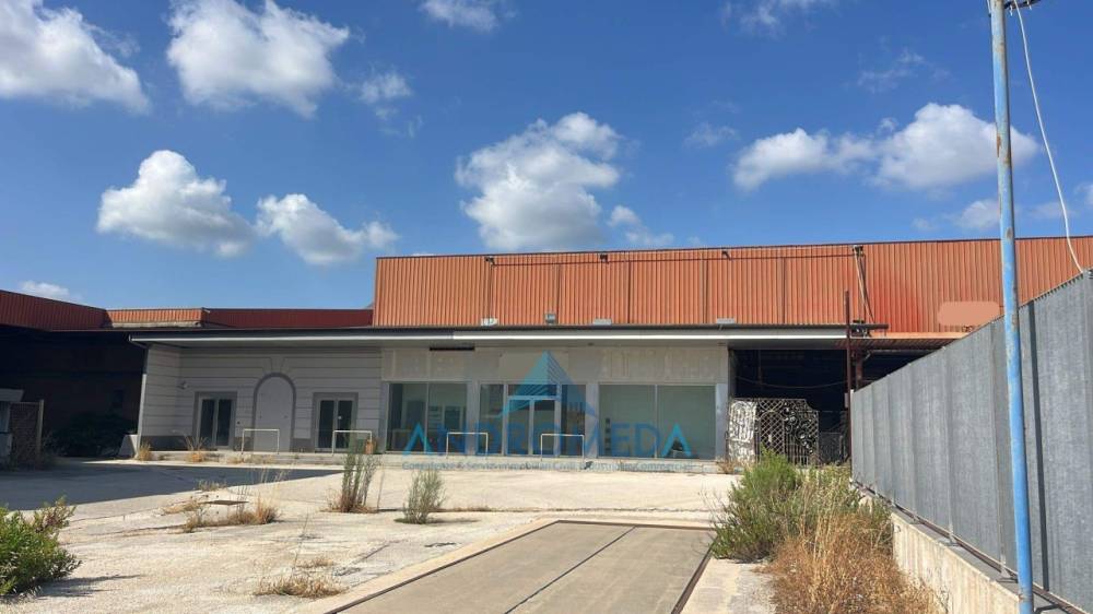 immagine annuncio 2 di 13