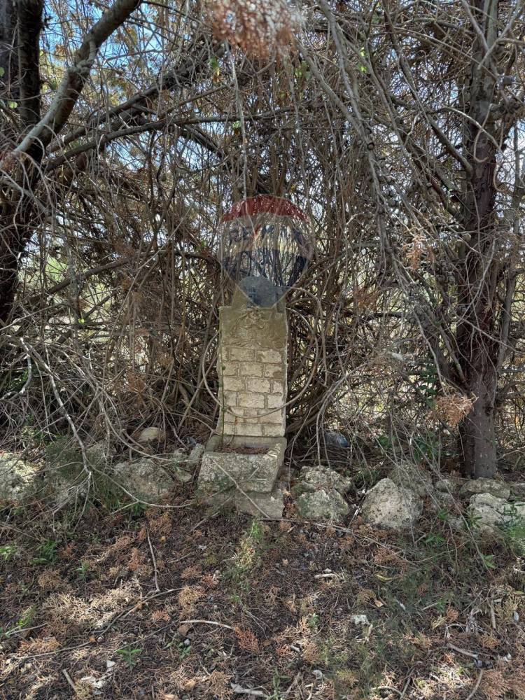 immagine annuncio 11 di 13