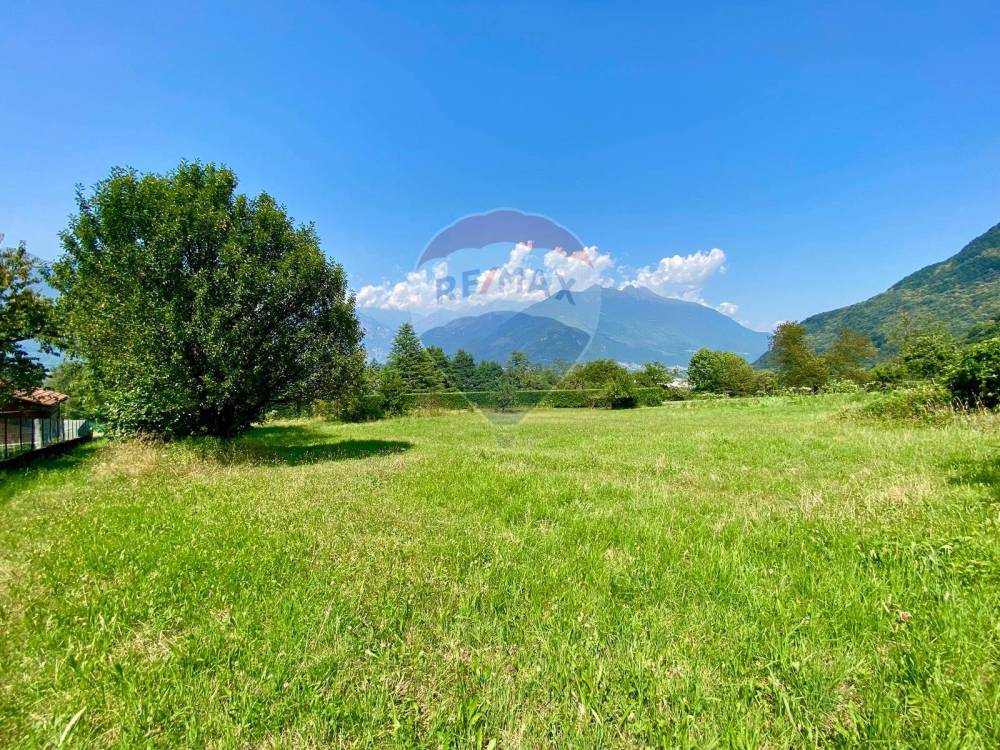 immagine annuncio 8 di 12