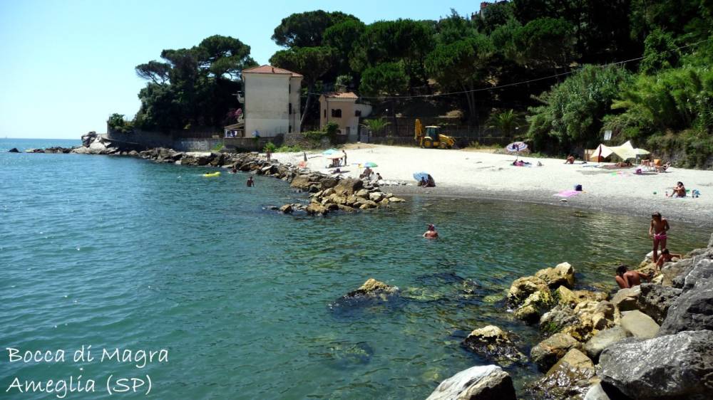 immagine annuncio 6 di 13