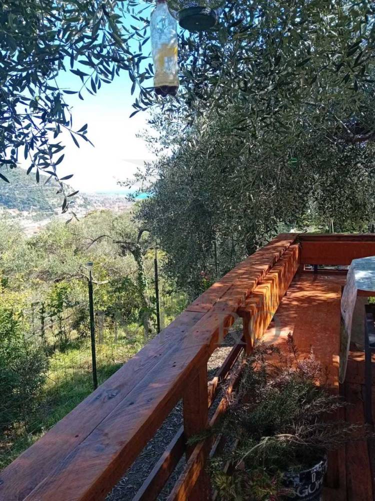 immagine annuncio 11 di 13