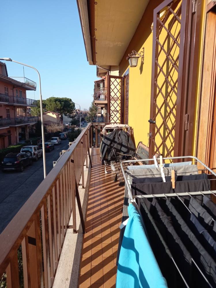 immagine annuncio 12 di 13