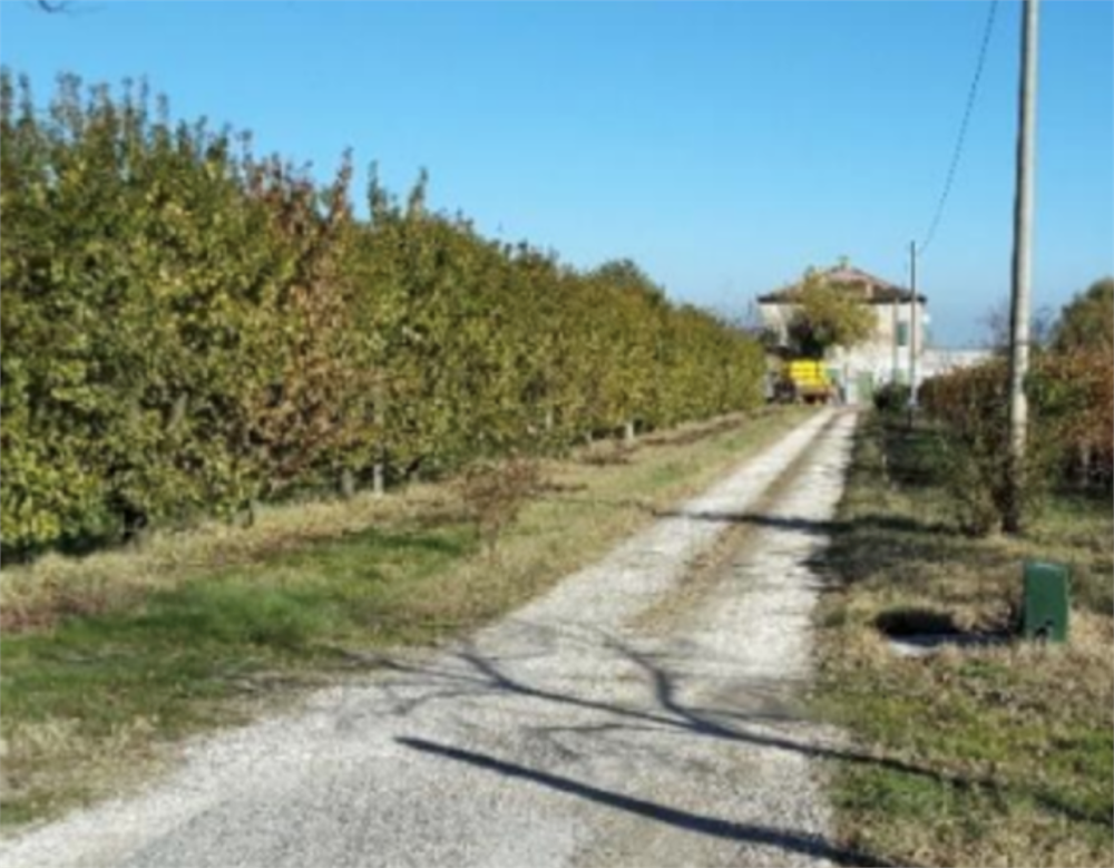 immagine annuncio 3 di 13
