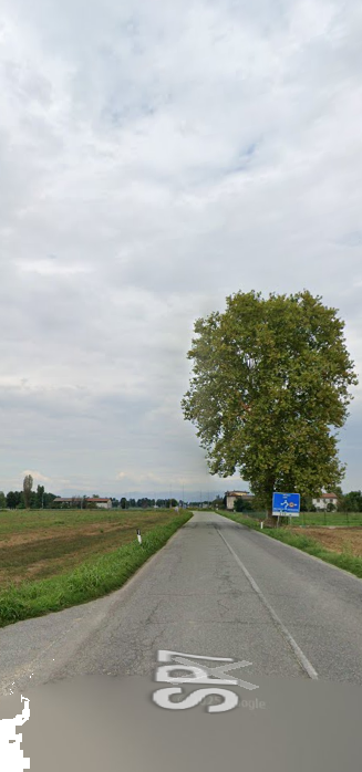 immagine annuncio 4 di 13