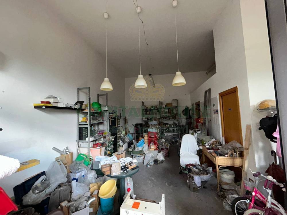 immagine annuncio 12 di 13