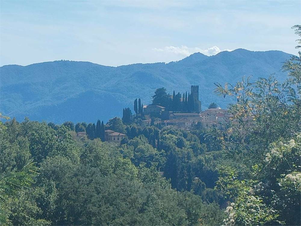 immagine annuncio 5 di 13