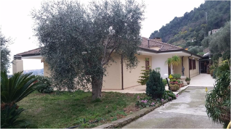 immagine annuncio 7 di 13