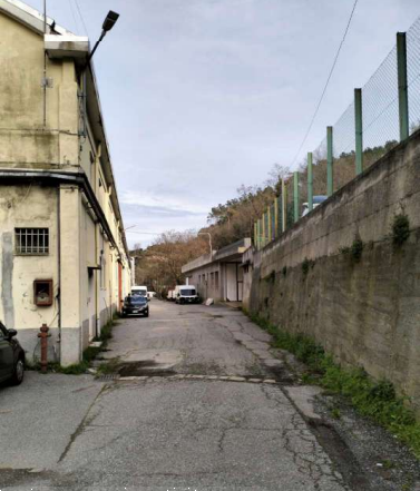 immagine annuncio 11 di 13